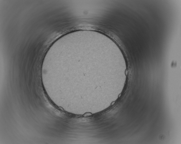 X0000110720433200907101407