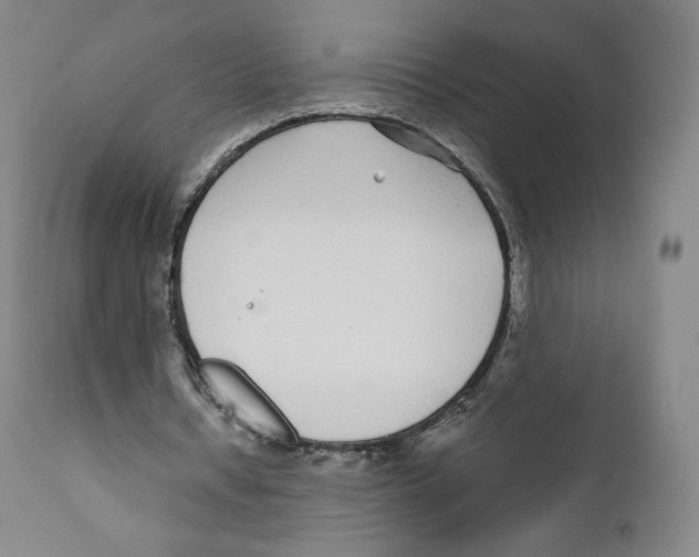 X0000110720434200907101408