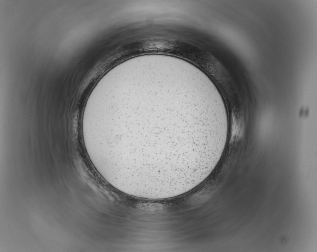 X0000110720435200907101408