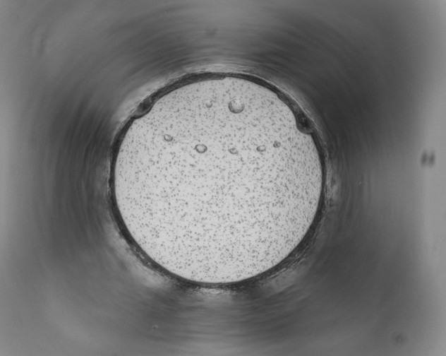 X0000110720437200907101408