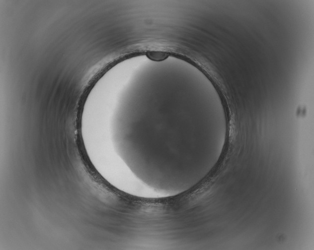 X0000110720438200907101408