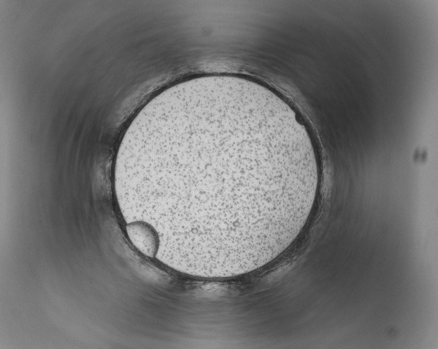 X0000110720441200907101408