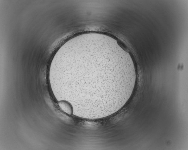 X0000110720442200907101408