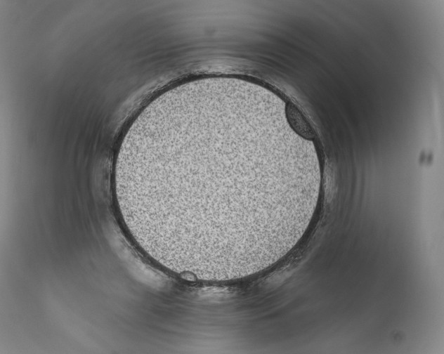 X0000110720445200907101408