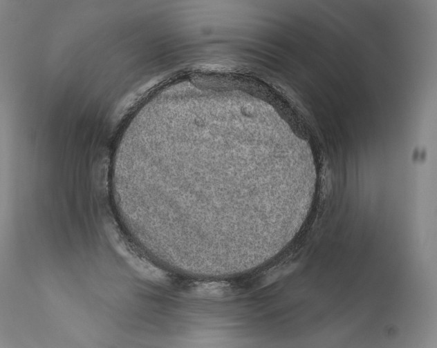 X0000110720446200907101408