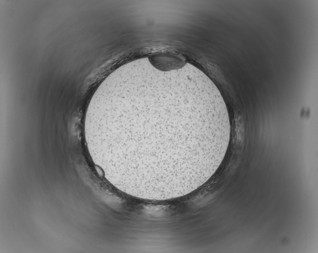 X0000110720450200907101408