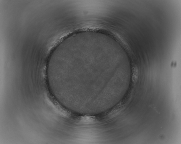 X0000110720451200907101408