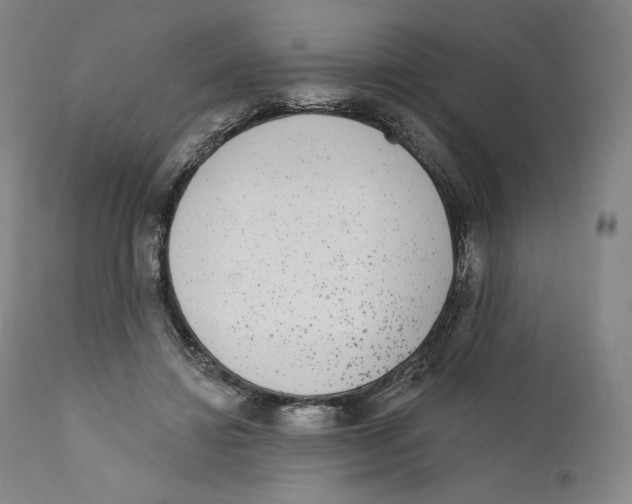 X0000110720452200907101408