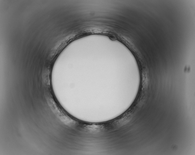 X0000110720453200907101408