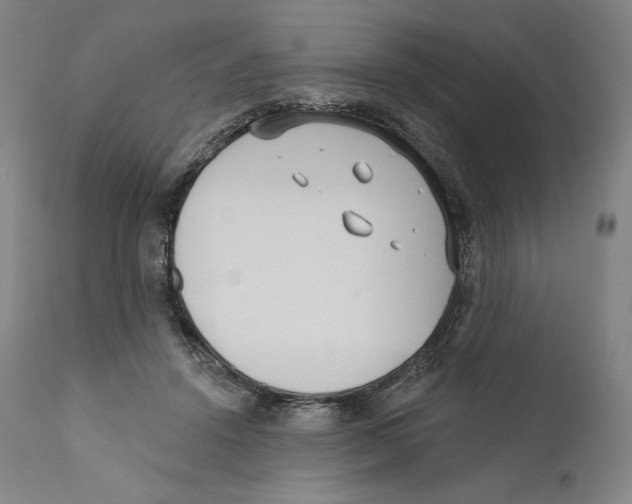 X0000110720456200907101408