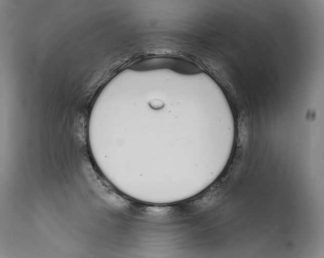 X0000110720457200907101408