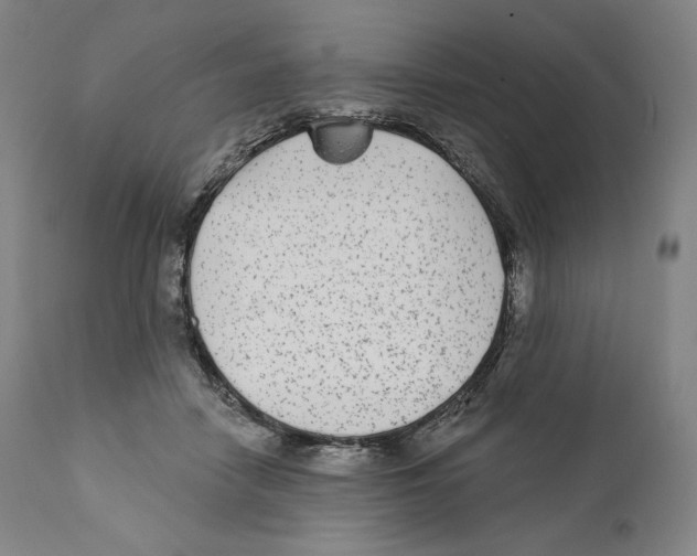 X0000110720458200907101408