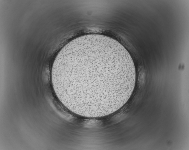 X0000110720459200907101408