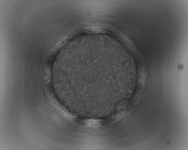 X0000110720465200907101408