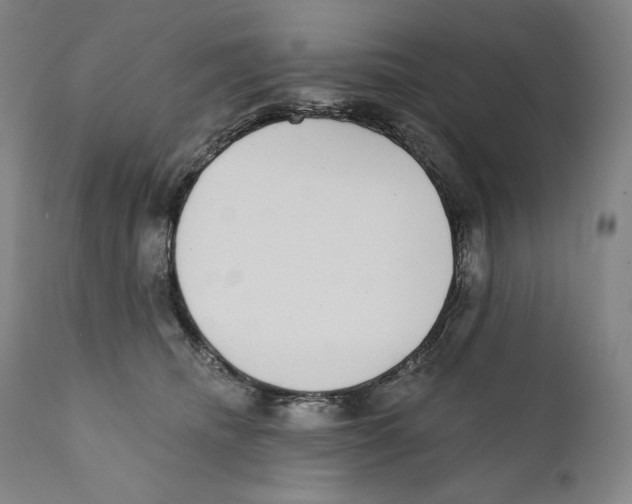 X0000110720468200907101408