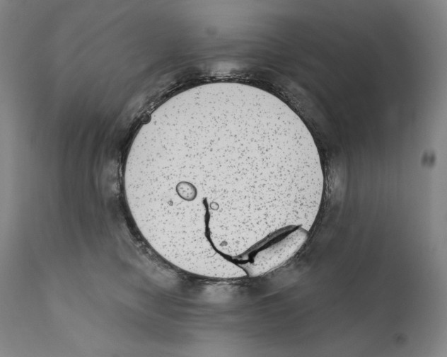 X0000110720470200907101408