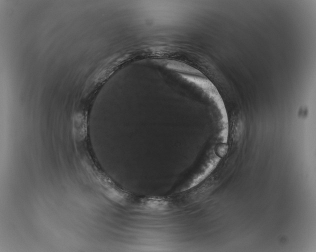 X0000110720471200907101408