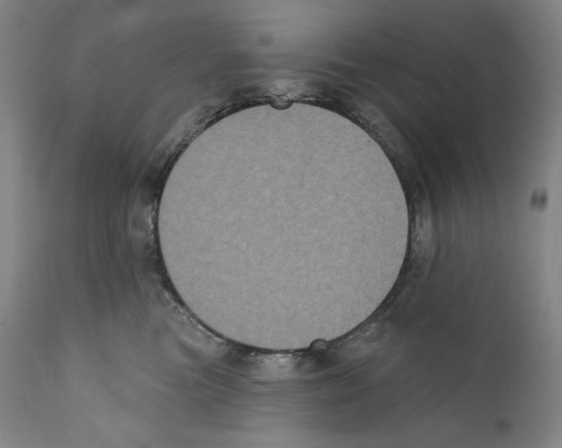 X0000110720473200907101408