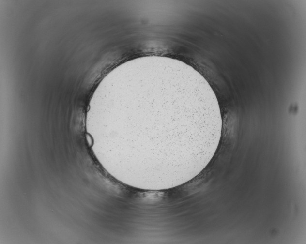 X0000110720474200907101408