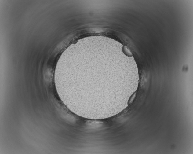 X0000110720476200907101408