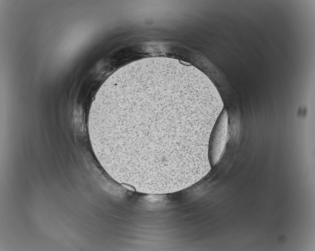 X0000110720477200907101408