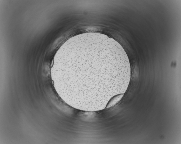 X0000110720478200907101408