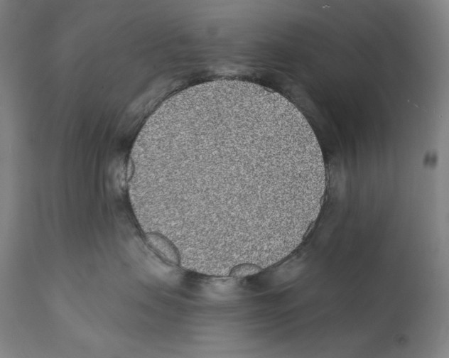 X0000110720479200907101408