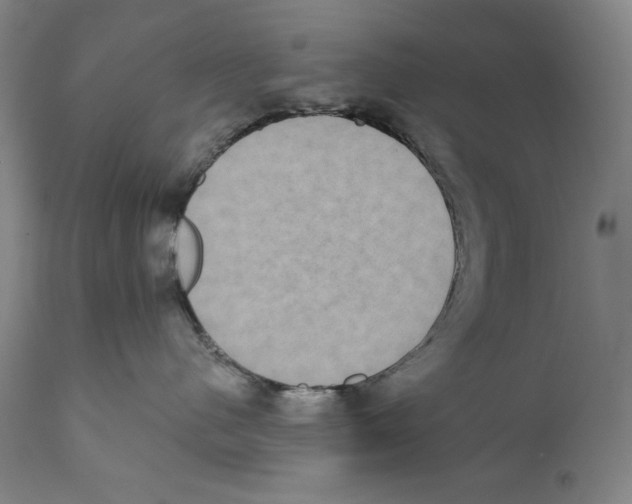 X0000110720480200907101408