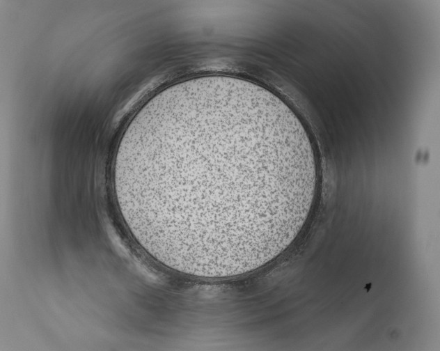 X0000110720482200907101407