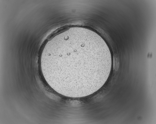 X0000110720483200907101407