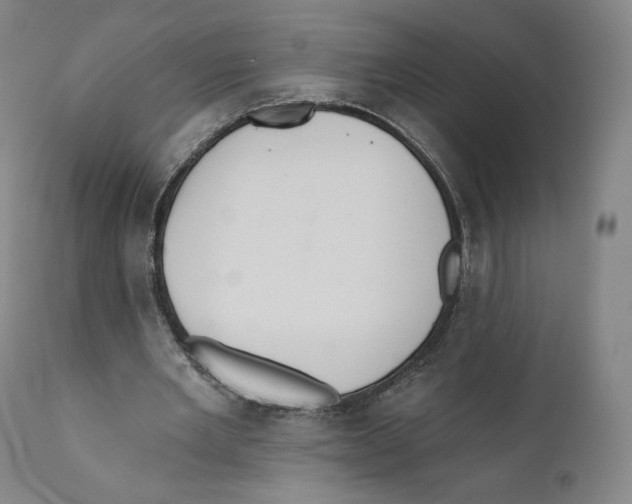 X0000110720485200907101407