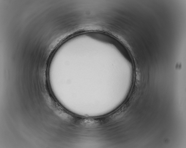 X0000110720487200907101407