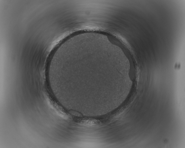 X0000110720488200907101407