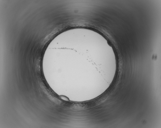 X0000110720489200907101407