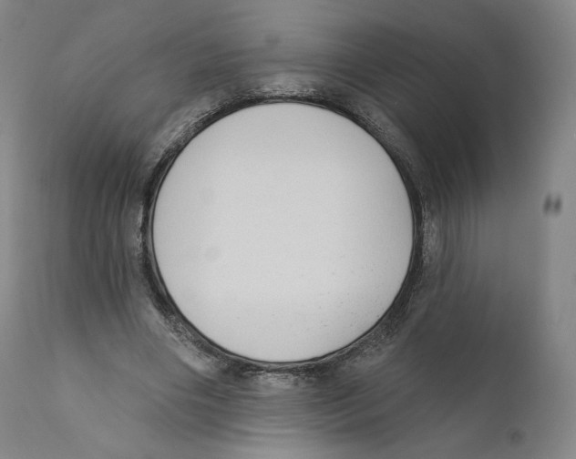 X0000110720490200907101407