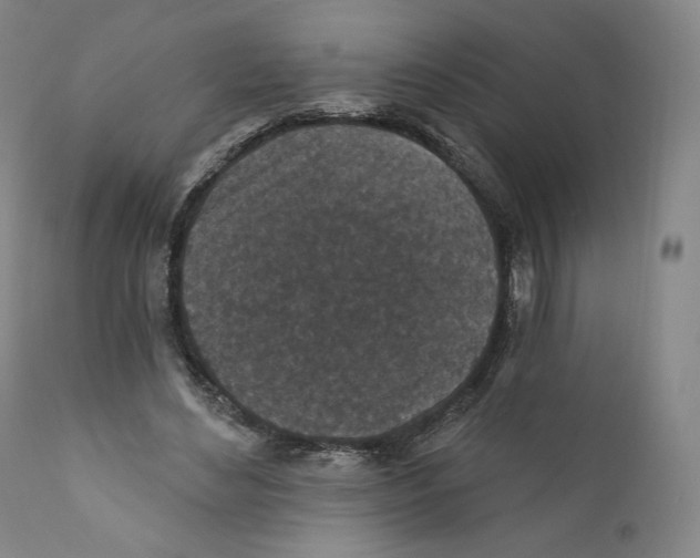 X0000110720492200907101407