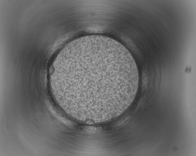 X0000110720494200907101407