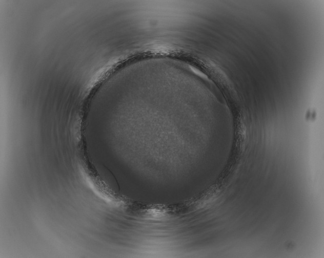 X0000110720496200907101407