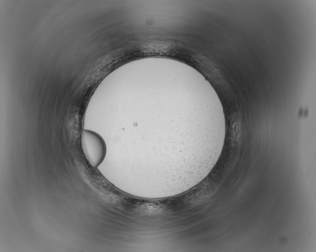 X0000110720498200907101407