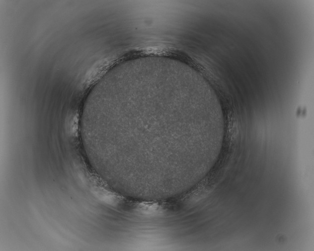 X0000110720502200907101407