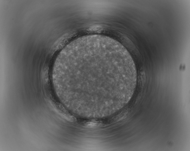 X0000110720504200907101407