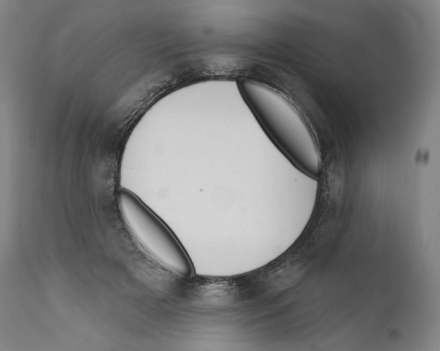 X0000110720505200907101407