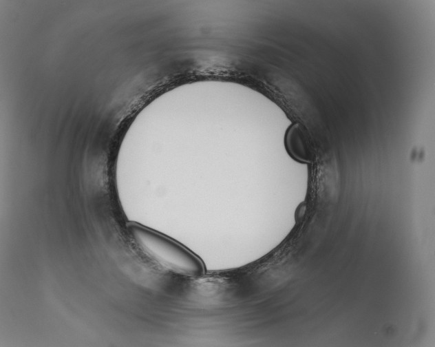 X0000110720508200907101407