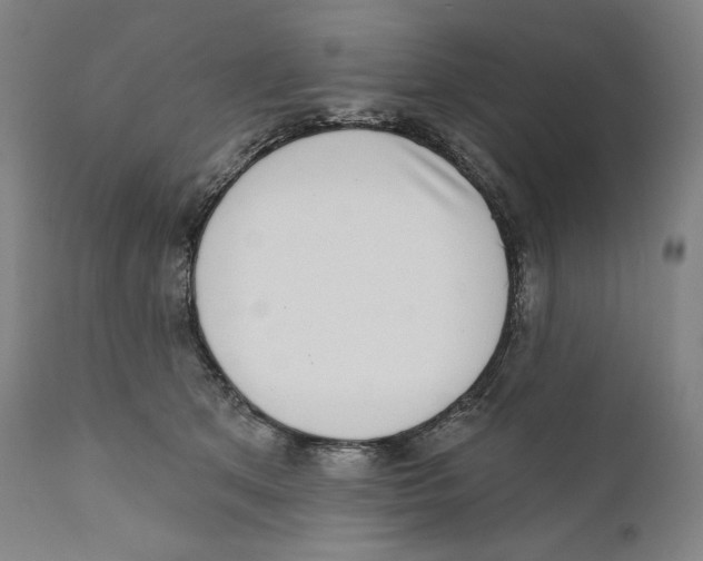 X0000110720513200907101407