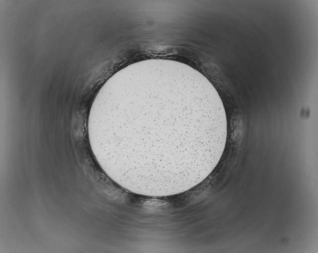 X0000110720515200907101407