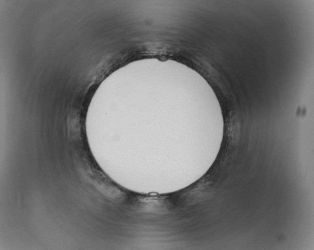 X0000110720516200907101407