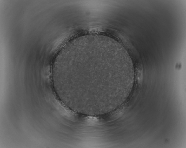 X0000110720519200907101407