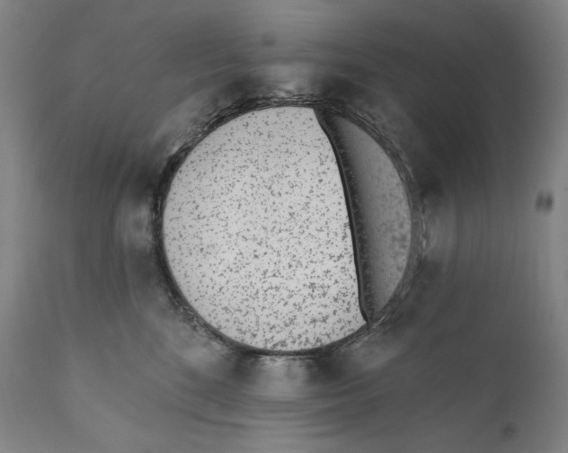 X0000110720520200907101407