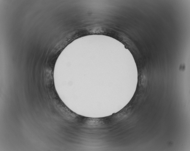 X0000110720521200907101407