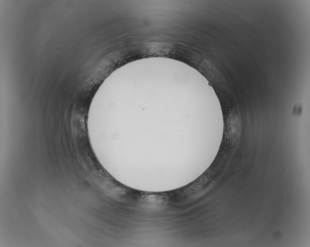 X0000110720522200907101407